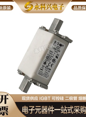 巴斯曼熔断器现货进口170M1566/1567/1568/1569/1570/1571/15721