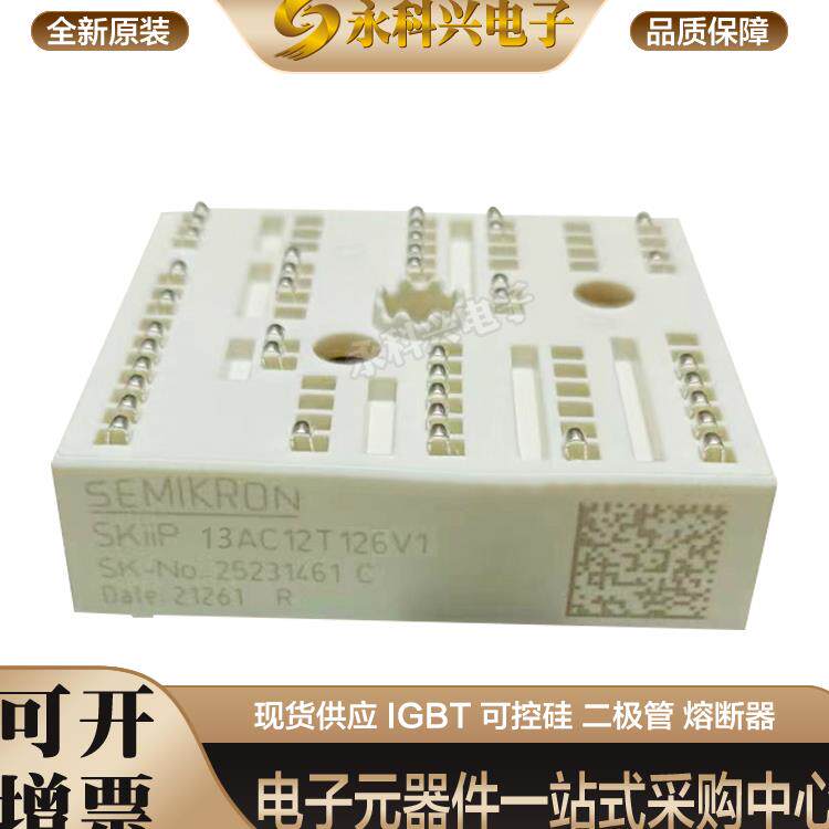 全新西门康SKIIP13AC12T4V1/126V1/SKIIP23AC12T4V1/126V1原装 - 实物图