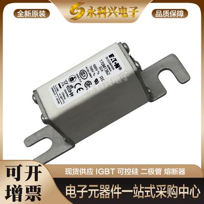 巴斯曼熔断器170M3388/3389/3390