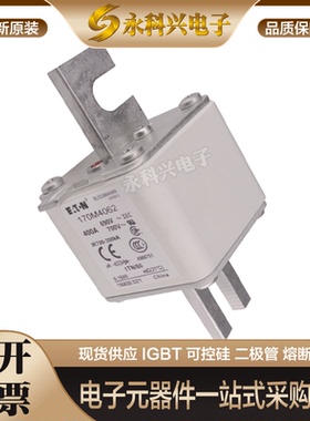 全新进口巴斯曼熔断器170M4802/4803/4804/4805/4806/4807/4808