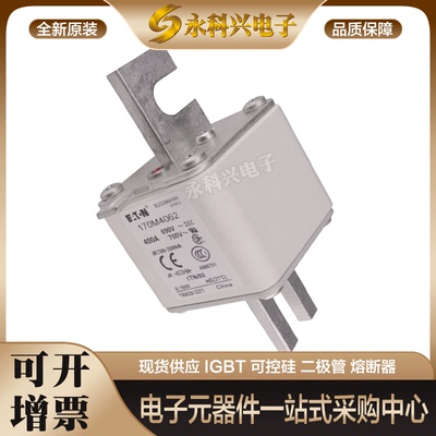 巴斯曼熔断器170M4802/4803/4804