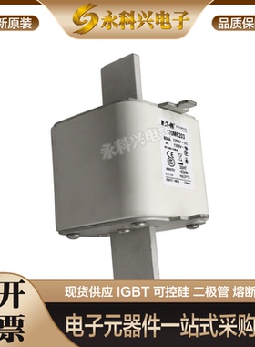 巴斯曼熔断器现货全新进口170M6306/6307/6203/6204/6205/6206