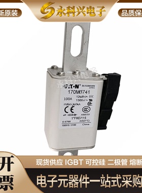 全新进口巴斯曼熔断器170M3741/3742/3743/3744/3745/3746/3747