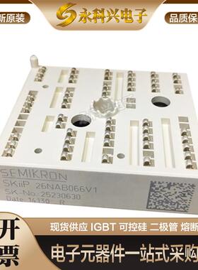 全新西门康SKIIP26NAB066V1/065V1/SKIIP39AC12T4V1现货原装