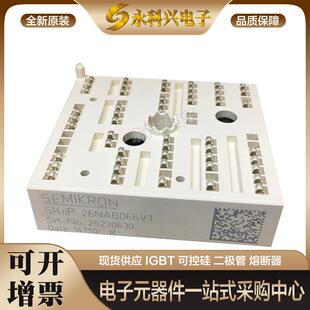 全新西门康SKIIP26NAB066V1/065V1/SKIIP39AC12T4V1现货原装