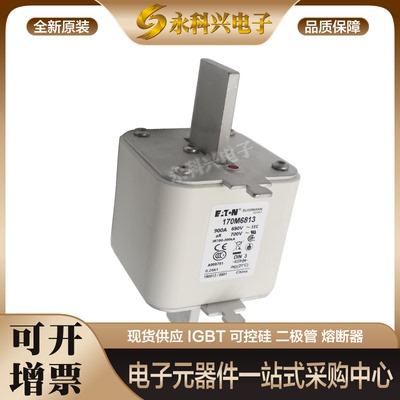 巴斯曼熔断器170M6810/6811/6812