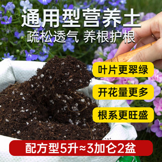 配方营养土养花通用型种菜种花专用土壤有机花肥家庭阳台盆栽花土