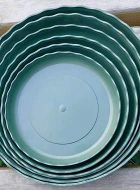 花盆托盘塑料圆形底盘垫底花盘底盆栽花卉底座白色托盘绿色接水盘