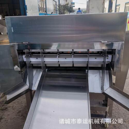 全自动冻刀鱼切段设备带鱼切开机器可调节长短的冷库带鱼切段机