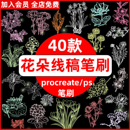 procreate笔刷ps笔刷牡丹康乃馨兰花牵牛花杜鹃花朵花卉线稿笔刷