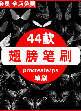 procreate笔刷白色梦幻发光仙女精灵翅膀蜻蜓蝴蝶翅膀ps笔刷素材