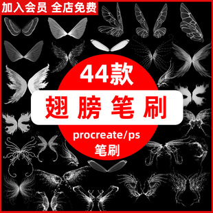 procreate笔刷白色梦幻发光仙女精灵翅膀蜻蜓蝴蝶翅膀ps笔刷素材