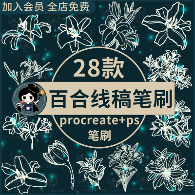 植物鲜花百合花花朵花卉线稿辅助线绘画ps笔刷procreate笔刷素材