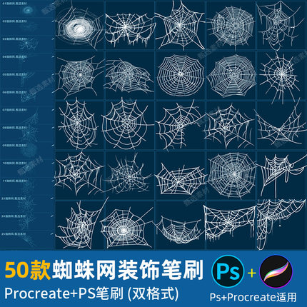 ps笔刷procreate笔刷蜘蛛网装饰手绘蛛网状绘画蛛丝万圣节气氛围