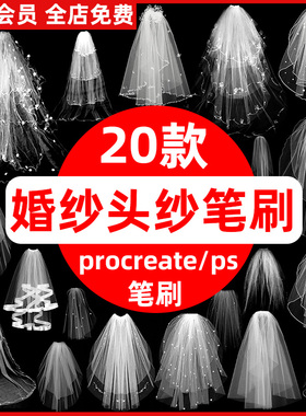 白色婚礼头纱婚纱薄纱裙png免抠图片procreate/ps笔刷绘画素材