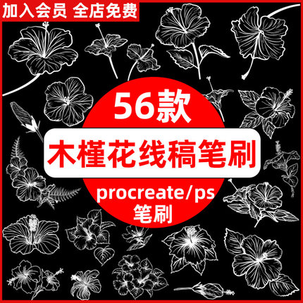 procreate笔刷ps笔刷木槿花植物线稿鲜花临摹花朵花卉插画手绘画