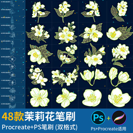 ps笔刷procreate笔刷植物花卉叶子茉莉花朵鲜花插画辅助线稿素材