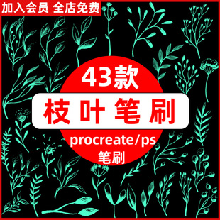 中国风水墨古风枝叶树叶树枝枝条花纹背景ps/procreate笔刷素材