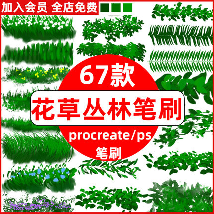 手绘卡通日系森林草丛花草树丛花丛叶子枝条procreate/ps笔刷绘画