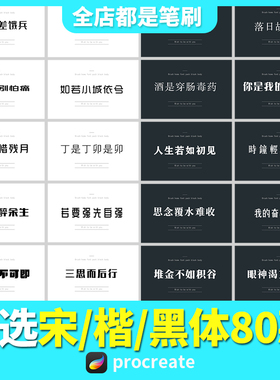 精选procreate字体安装包下载中文ps黑体宋体楷体ipad绘画素材mac