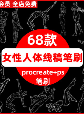 ps笔刷procreate笔刷女性人体辅助线稿女生运动体育动作姿态骨骼