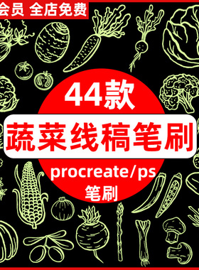 果蔬类绿色食物新鲜蔬菜线稿绘画辅助线ps笔刷procreate笔刷素材