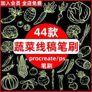 果蔬类绿色食物新鲜蔬菜线稿绘画辅助线ps笔刷procreate笔刷素材