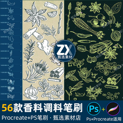 ps笔刷procreate笔刷食用香料佐料调料美食卤料八角肉桂皮茴香料