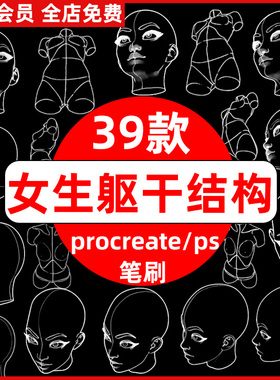 女生动漫头像躯干多角度结构线稿辅助线练习ps笔刷 procreate笔刷