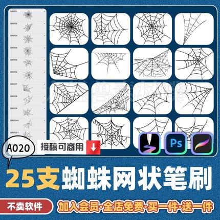 ps笔刷procreate画笔天生会画蜘蛛网装饰线稿图案设计点缀素材A20