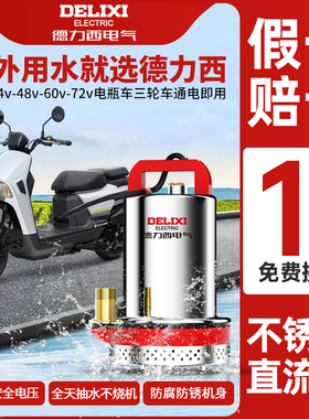 z德力西直流抽水泵潜水泵12v24v48v小型机家用自吸高扬程农用灌溉