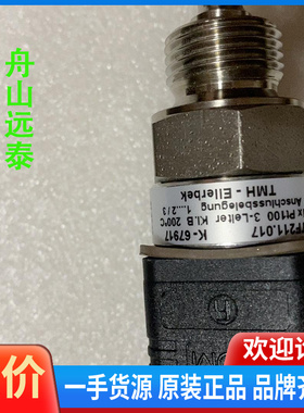 议价~TMH-EIIerbek温度探头，热电偶 TF21