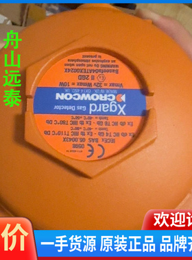 议价~科尔康CROWCON气体检测仪，XGARD TYPE5 O3
