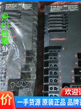 议价~威索燃烧管理器WFM20