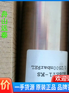 议价/HOPPE 压载探头Hoset1--kS  0/2500mb