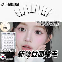 ace女团假睫毛韩系免胶女自然仿真2025新款韩国式下睫毛硬梗自粘