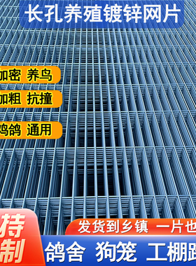 长孔镀锌铁丝网片狗笼鸽舍围栏踏网热镀锌养殖钢丝网加粗加密网格