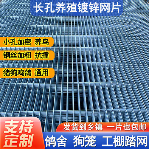 镀锌铁丝网片鸽舍围栏养殖钢丝网