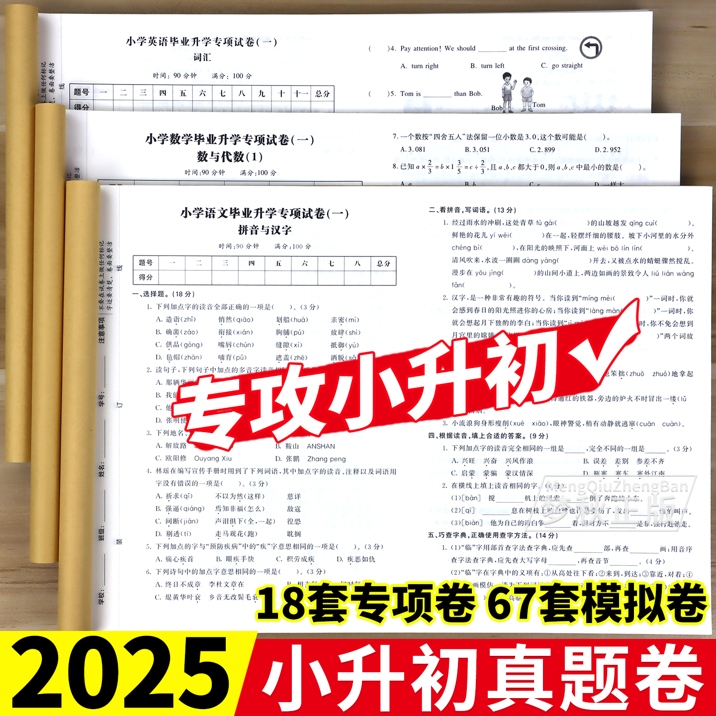 2025新小升初真题卷精编模拟卷