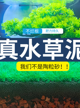【净水版】保真水草泥(当天发货)