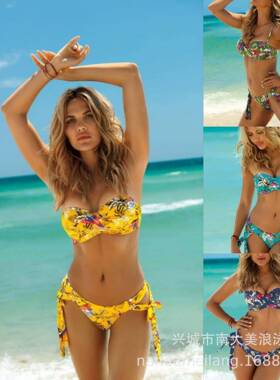 Swimsuit women bikini parrot multi-color two-piece swimsuit