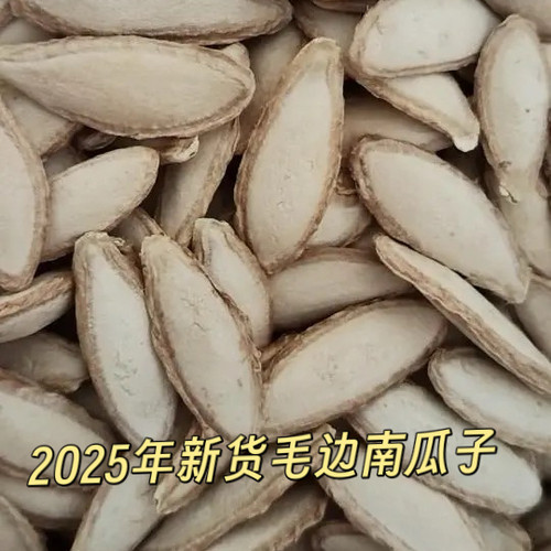 2025年新货毛边南瓜子原味农家长粒中大颗粒零食毛边南瓜籽长粒香