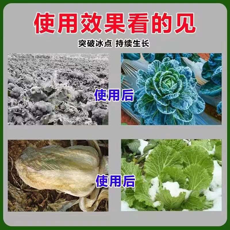 植物抗寒防冻剂防冻液冬季果树防寒抗冻剂蔬菜白菜高脂膜抗低温