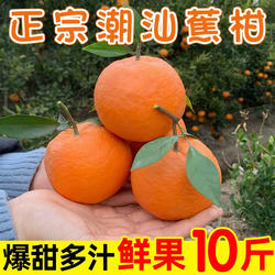 潮州柑潮汕焦柑潮州蕉柑年柑潮汕本地拜神老柑新年柑拜年柑橘大吉