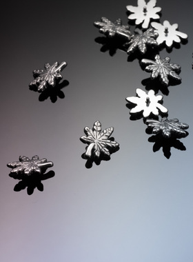 [HAKNS]植入级钛合金树叶耳钉头 F136钛 内螺纹16g防过敏 枫叶