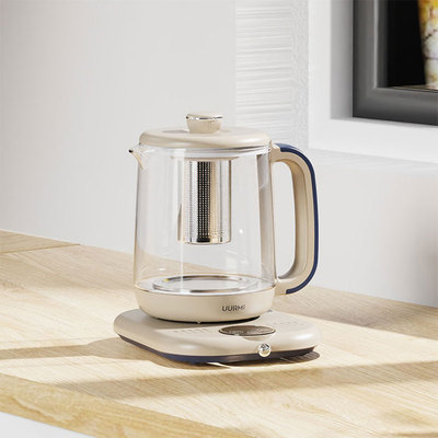 德国品牌养生壶家用恒温