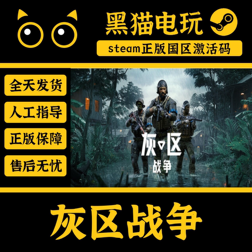 steam灰区战争国区CDKEY入库现货
