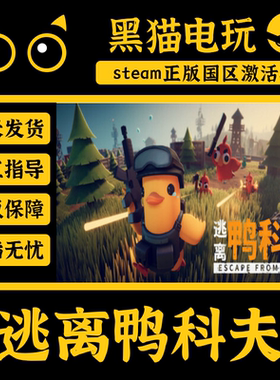 Steam 正版 国区 逃离鸭科夫 Escape from Duckov 激活码入库PC端