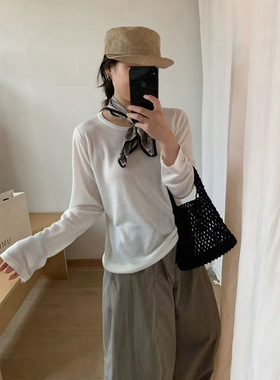 软糯含羊毛圆领打底衫秋季新款韩版基础款纯色针织衫女