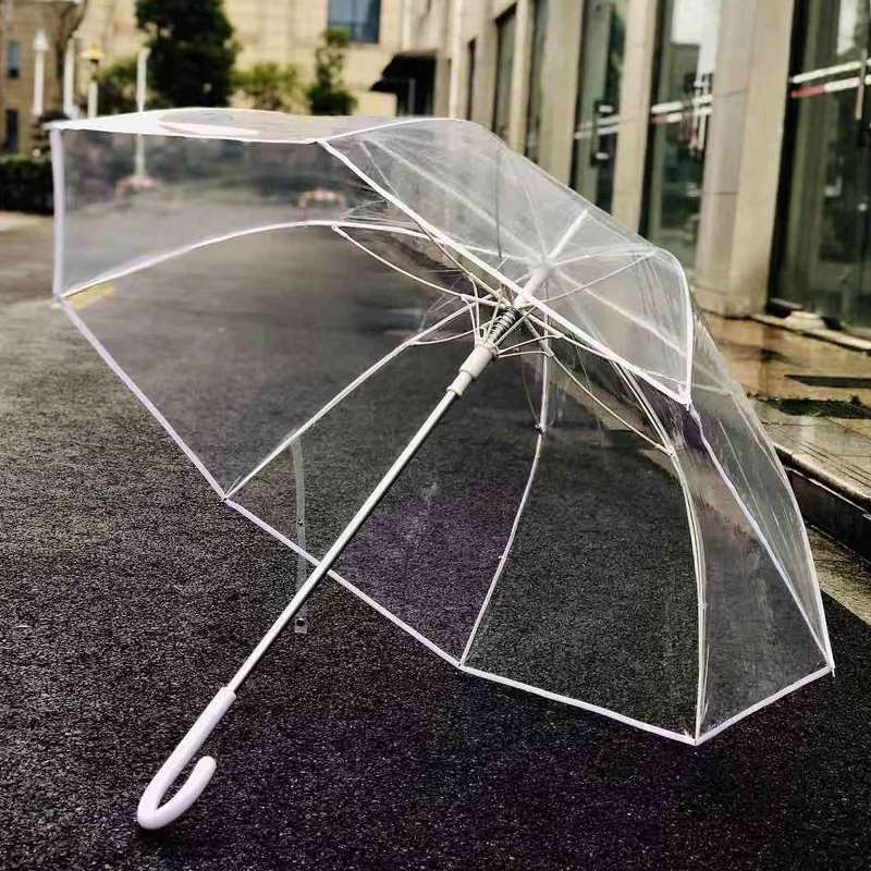 日本网红透明雨伞女长柄自动高级感拍照高颜值情侣伞加厚折叠伞ng